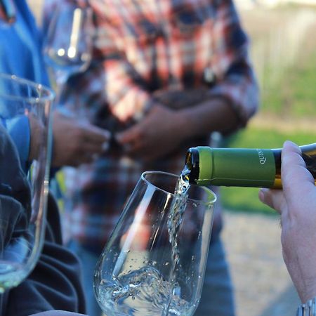 Quinta Pousada De Fora Wines & Tourism ギマランイス エクステリア 写真