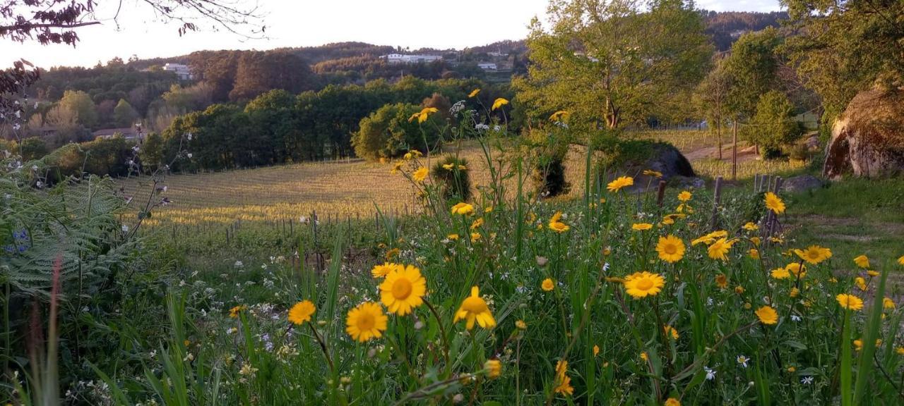 Quinta Pousada De Fora Wines & Tourism ギマランイス エクステリア 写真