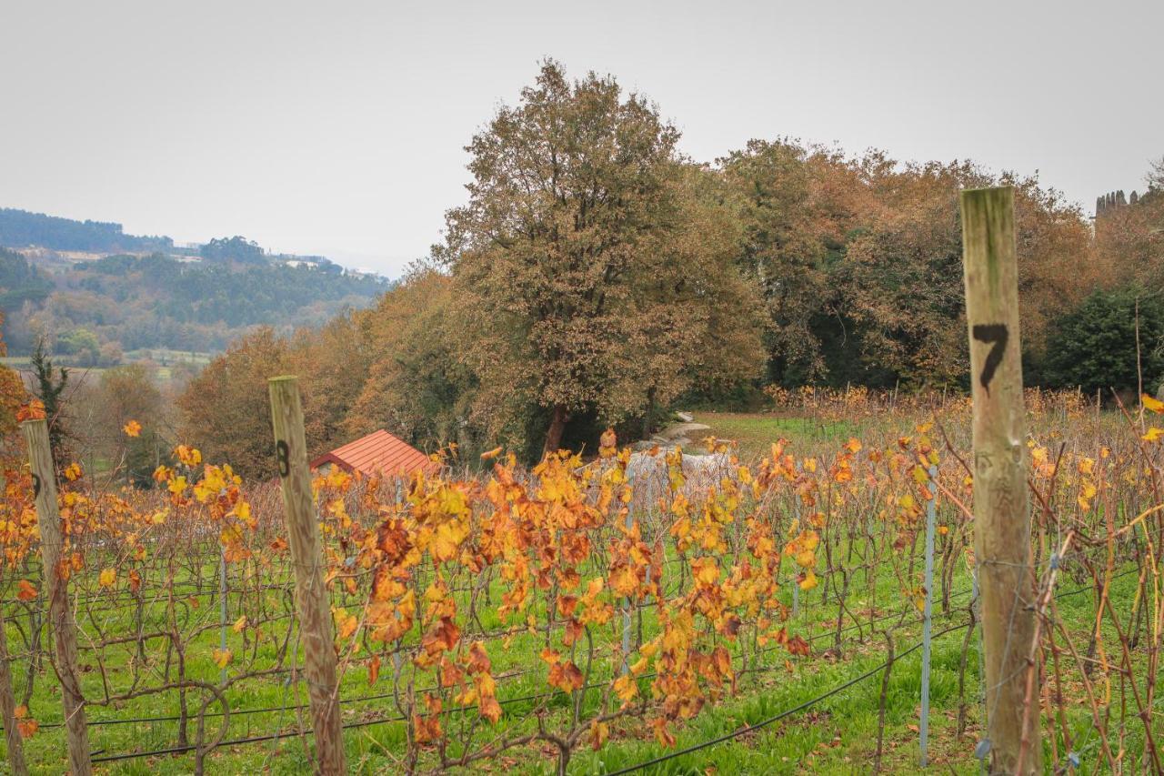 Quinta Pousada De Fora Wines & Tourism ギマランイス エクステリア 写真
