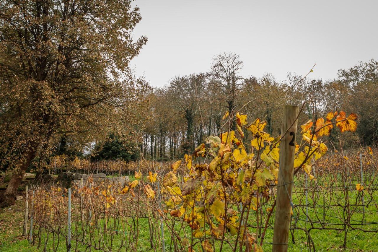 Quinta Pousada De Fora Wines & Tourism ギマランイス エクステリア 写真