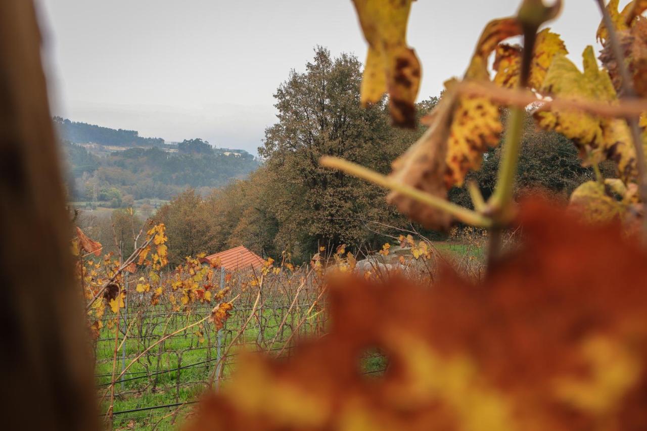 Quinta Pousada De Fora Wines & Tourism ギマランイス エクステリア 写真